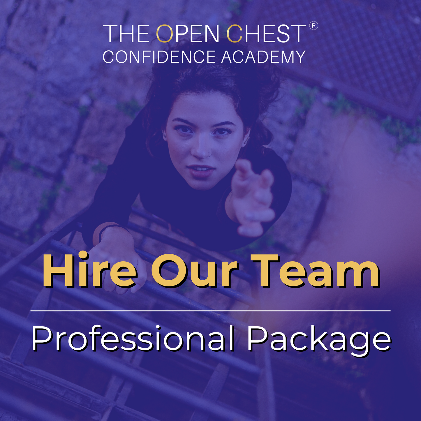 Hire Our Team | Professional Package | Monthly Subscription